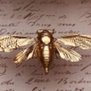 Meet your Posher, Paris